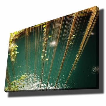Canvastavla 70x100 cm - Stilla vattenyta omgiven av hängande växtlighet och naturliga element - Turkos / Grön / Brun - Inredning - Tavlor & posters - Canvastavla