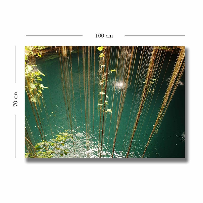 Canvastavla 70x100 cm - Stilla vattenyta omgiven av hängande växtlighet och naturliga element - Turkos / Grön / Brun - Inredning - Tavlor & posters - Canvastavla