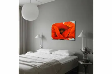 Canvastavla 70x100 cm - Stor, färgstark vallmo med intensiva röda och orangea toner - Röd / Orange - Inredning - Tavlor & posters - Canvastavla