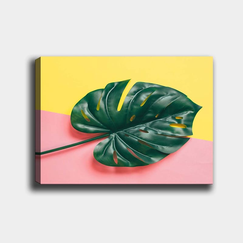 Canvastavla 70x100 cm - Stor, grön monstera-blad mot en färgglad bakgrund av gul och rosa, Grön / Gul / Rosa