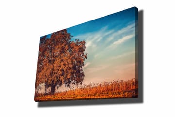 Canvastavla 70x100 cm - Stor, orange trädkrona i höstfärger mot en klarblå himmel - Orange / Blå / Beige - Inredning - Tavlor & posters - Canvastavla