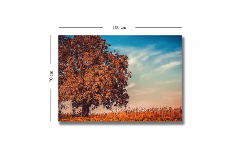 Canvastavla 70x100 cm - Stor, orange trädkrona i höstfärger mot en klarblå himmel - Orange / Blå / Beige - Inredning - Tavlor & posters - Canvastavla