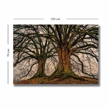 Canvastavla 70x100 cm - Storslagna träd med kraftiga grenar och detaljerad bark - Mörkbrun / Grön / Beige - Inredning - Tavlor & posters - Canvastavla