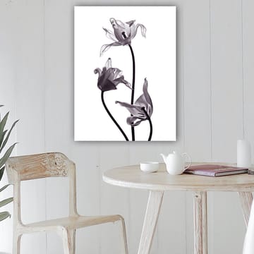 Canvastavla 70x100 cm - Svartvita tulpaner med eleganta former som sträcker sig mot toppen - Svart / Grå - Inredning - Tavlor & posters - Canvastavla
