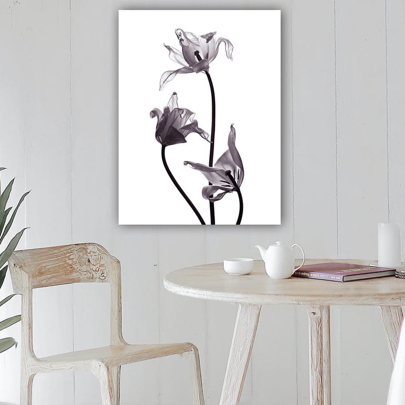 Canvastavla 70x100 cm - Svartvita tulpaner med eleganta former som sträcker sig mot toppen - Svart / Grå - Inredning - Tavlor & posters - Canvastavla