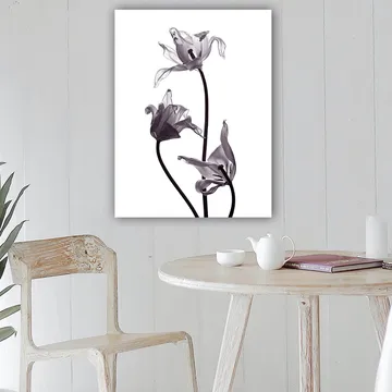 Canvastavla 70x100 cm - Svartvita tulpaner med eleganta former som sträcker sig mot toppen - Svart / Grå - Inredning - Tavlor & posters - Canvastavla