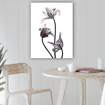 Canvastavla 70x100 cm - Svartvita tulpaner med eleganta former som sträcker sig mot toppen - Svart / Grå - Inredning - Tavlor & posters - Canvastavla