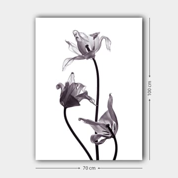 Canvastavla 70x100 cm - Svartvita tulpaner med eleganta former som sträcker sig mot toppen - Svart / Grå - Inredning - Tavlor & posters - Canvastavla