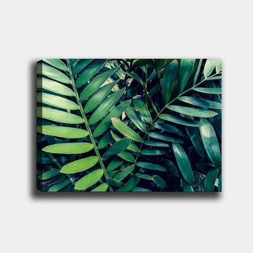 Canvastavla 70x100 cm - Tätt sammanvävda gröna växtblad som skapar en frodig och livfull känsla - Mörkgrön / Ljusgrön - Inredning - Tavlor & posters - Canvastavla