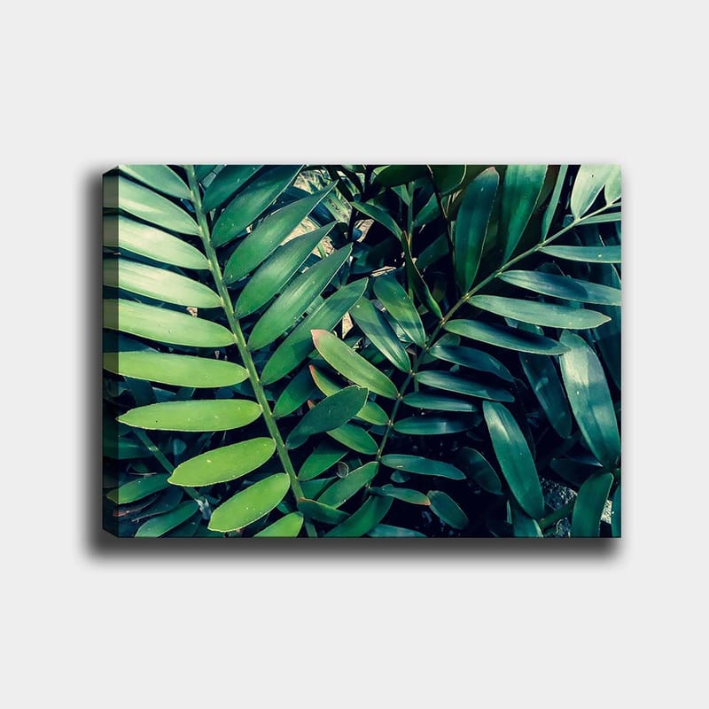Canvastavla 70x100 cm - Tätt sammanvävda gröna växtblad som skapar en frodig och livfull känsla - Mörkgrön / Ljusgrön - Inredning - Tavlor & posters - Canvastavla