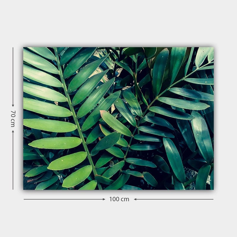 Canvastavla 70x100 cm - Tätt sammanvävda gröna växtblad som skapar en frodig och livfull känsla - Mörkgrön / Ljusgrön - Inredning - Tavlor & posters - Canvastavla