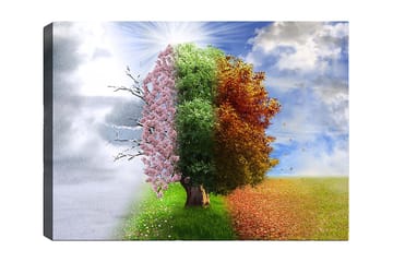 Canvastavla 70x100 cm - Trädkonstruktion som representerar de fyra årstiderna, från vinter till vår, som övergår till sommar och höst - Rosa / Grön / Orange - Inredning - Tavlor & posters - Canvastavla