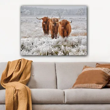 Canvastavla 70x100 cm - Tre höglandsko i en frostig landskapsscen - Orange / Vit / Grå - Inredning - Tavlor & posters - Canvastavla