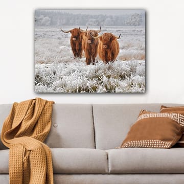 Canvastavla 70x100 cm - Tre höglandsko i en frostig landskapsscen - Orange / Vit / Grå - Inredning - Tavlor & posters - Canvastavla