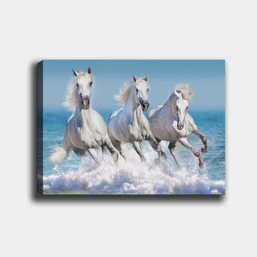 Canvastavla 70x100 cm - Tre vita hästar som galopperar genom vågorna vid havet - Vit / Ljusblå / Turkos - Inredning - Tavlor & posters - Canvastavla
