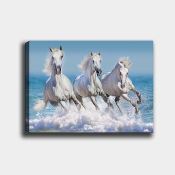 Canvastavla 70x100 cm - Tre vita hästar som galopperar genom vågorna vid havet - Vit / Ljusblå / Turkos - Inredning - Tavlor & posters - Canvastavla