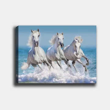Canvastavla 70x100 cm - Tre vita hästar som galopperar genom vågorna vid havet - Vit / Ljusblå / Turkos - Inredning - Tavlor & posters - Canvastavla
