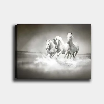 Canvastavla 70x100 cm - Tre vita hästar som galopperar genom vatten - Vit / Grå - Inredning - Tavlor & posters - Canvastavla