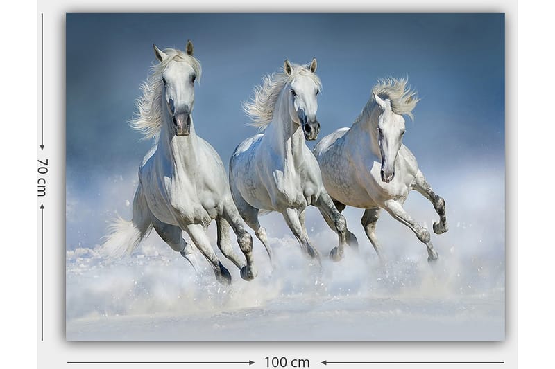 Canvastavla 70x100 cm - Tre vita hästar som galopperar genom vattnet - Vit / Ljusblå - Inredning - Tavlor & posters - Canvastavla