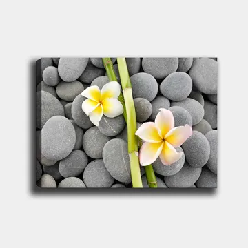 Canvastavla 70x100 cm - Två blommor i pastellfärger som ligger på en samling grå stenar - Grå / Gul / Rosa - Inredning - Tavlor & posters - Canvastavla