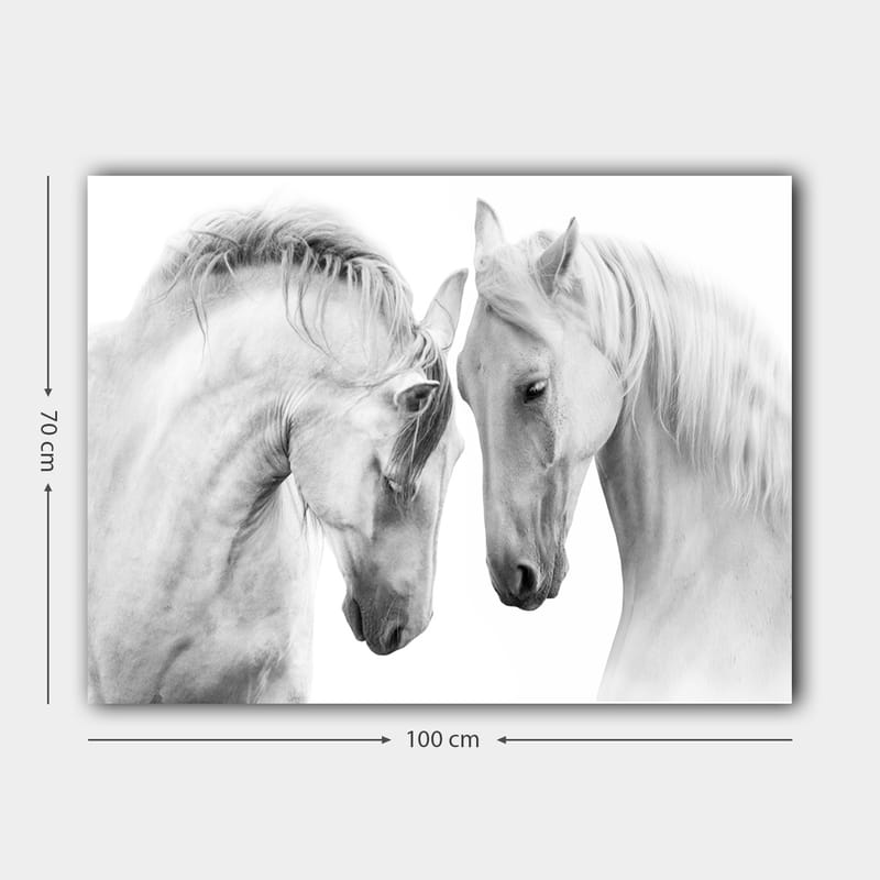 Canvastavla 70x100 cm - Två eleganta hästar som står nära varandra och visar en känsla av samhörighet - Vit / Grå - Inredning - Tavlor & posters - Canvastavla