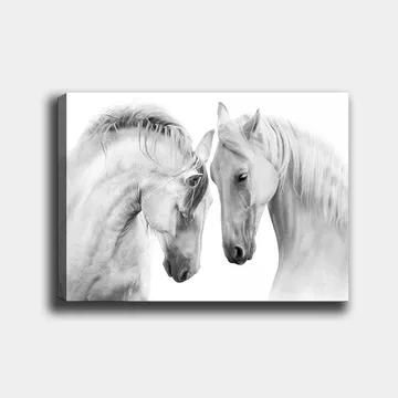 Canvastavla 70x100 cm - Två eleganta hästar som står nära varandra och visar en känsla av samhörighet - Vit / Grå - Inredning - Tavlor & posters - Canvastavla