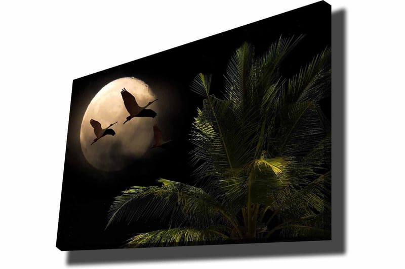 Canvastavla 70x100 cm - Två fåglar som flyger mot en stor måne över en palmliknande växt - Mörkgrön / Grå / Beige - Inredning - Tavlor & posters - Canvastavla