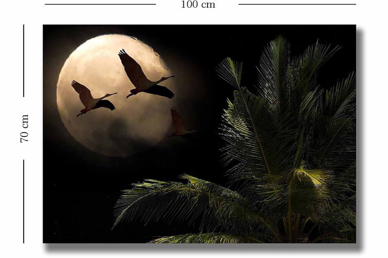 Canvastavla 70x100 cm - Två fåglar som flyger mot en stor måne över en palmliknande växt - Mörkgrön / Grå / Beige - Inredning - Tavlor & posters - Canvastavla