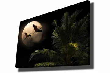 Canvastavla 70x100 cm - Två fåglar som flyger mot en stor måne över en palmliknande växt - Mörkgrön / Grå / Beige - Inredning - Tavlor & posters - Canvastavla