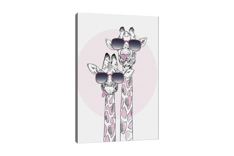 Canvastavla 70x100 cm - Två giraffer med solglasögon som visar en lekfull och modern stil - Rosa / Svart / Vit - Inredning - Tavlor & posters - Canvastavla