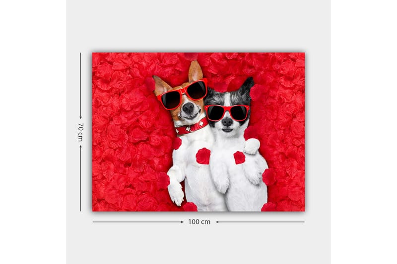 Canvastavla 70x100 cm - Två hundar som ligger tillsammans på en röd blomsterbakgrund, iförda solglasögon - Röd / Vit / Svart - Inredning - Tavlor & posters - Canvastavla