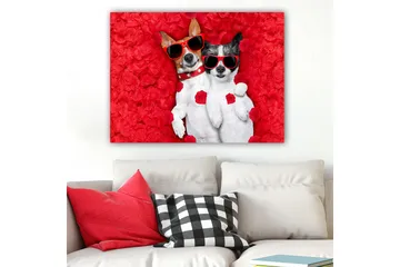 Canvastavla 70x100 cm - Två hundar som ligger tillsammans på en röd blomsterbakgrund, iförda solglasögon - Röd / Vit / Svart - Inredning - Tavlor & posters - Canvastavla