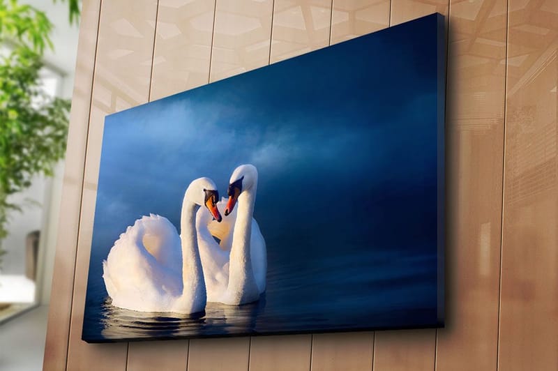 Canvastavla 70x100 cm - Två svanar som formar ett hjärta med sina halsar i en romantisk och lugn atmosfär - Vit / Mörkblå - Inredning - Tavlor & posters - Canvastavla