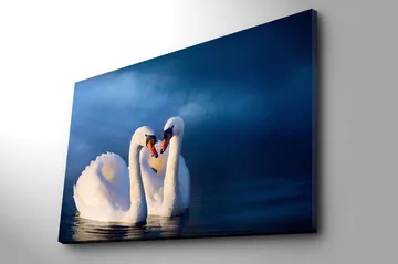 Canvastavla 70x100 cm - Två svanar som formar ett hjärta med sina halsar i en romantisk och lugn atmosfär - Vit / Mörkblå - Inredning - Tavlor & posters - Canvastavla