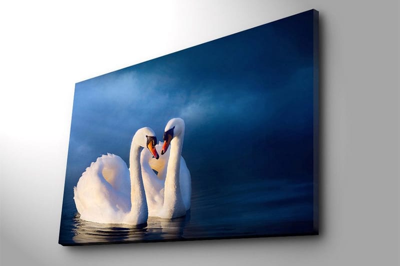 Canvastavla 70x100 cm - Två svanar som formar ett hjärta med sina halsar i en romantisk och lugn atmosfär - Vit / Mörkblå - Inredning - Tavlor & posters - Canvastavla
