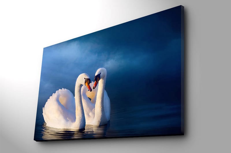 Canvastavla 70x100 cm - Två svanar som formar ett hjärta med sina halsar i en romantisk och lugn atmosfär - Vit / Mörkblå - Inredning - Tavlor & posters - Canvastavla