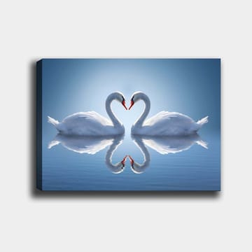 Canvastavla 70x100 cm - Två svanar som formar ett hjärta med sina halsar i en spegelbild på vattnet - Vit / Röd / Blå - Inredning - Tavlor & posters - Canvastavla