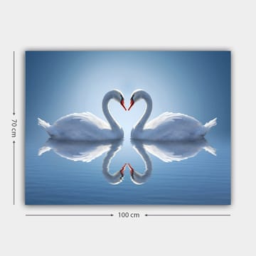 Canvastavla 70x100 cm - Två svanar som formar ett hjärta med sina halsar i en spegelbild på vattnet - Vit / Röd / Blå - Inredning - Tavlor & posters - Canvastavla