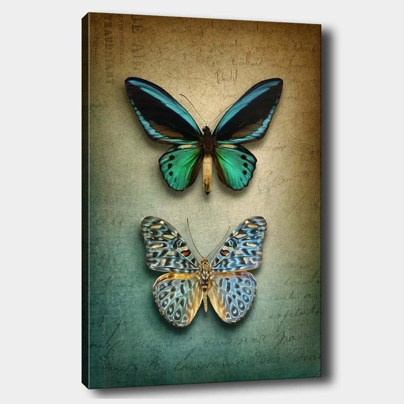 Canvastavla 70x100 cm - Två vackra fjärilar i en harmonisk komposition - Turkos / Grön / Blå - Inredning - Tavlor & posters - Canvastavla