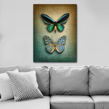 Canvastavla 70x100 cm - Två vackra fjärilar i en harmonisk komposition - Turkos / Grön / Blå - Inredning - Tavlor & posters - Canvastavla