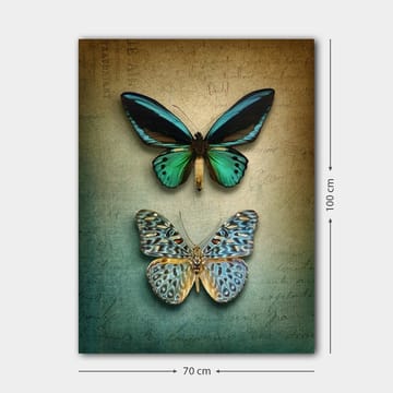 Canvastavla 70x100 cm - Två vackra fjärilar i en harmonisk komposition - Turkos / Grön / Blå - Inredning - Tavlor & posters - Canvastavla