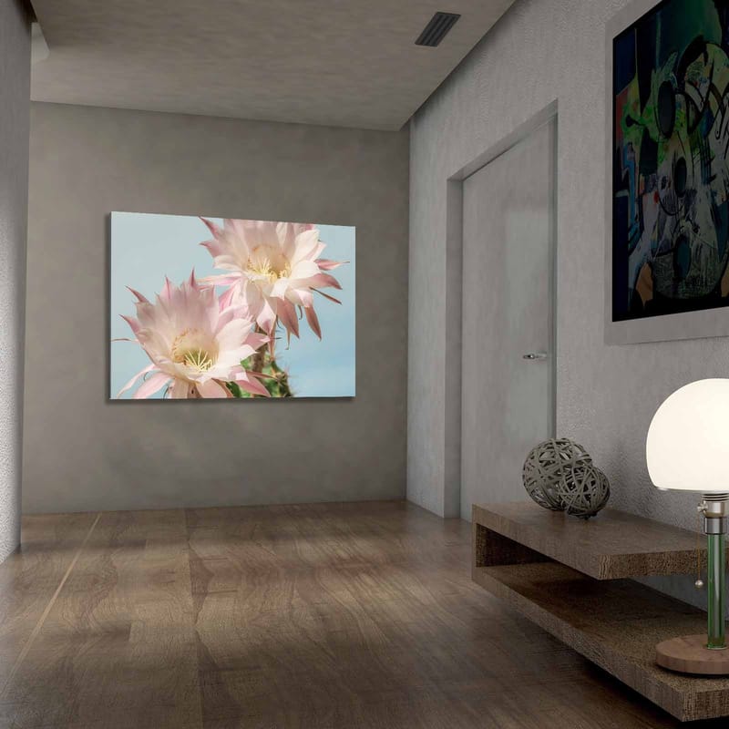 Canvastavla 70x100 cm - Två vackra kaktusblommor i pastellfärger - Ljusrosa / Grön - Inredning - Tavlor & posters - Canvastavla