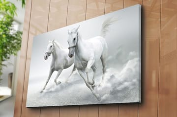 Canvastavla 70x100 cm - Två vita hästar som galopperar framåt i en dynamisk rörelse - Vit / Grå - Inredning - Tavlor & posters - Canvastavla