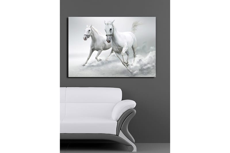 Canvastavla 70x100 cm - Två vita hästar som galopperar framåt i en dynamisk rörelse - Vit / Grå - Inredning - Tavlor & posters - Canvastavla