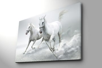 Canvastavla 70x100 cm - Två vita hästar som galopperar framåt i en dynamisk rörelse - Vit / Grå - Inredning - Tavlor & posters - Canvastavla