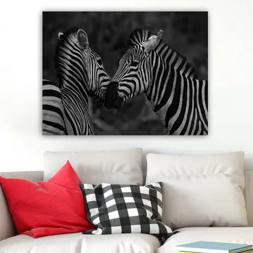Canvastavla 70x100 cm - Två zebror som står nära varandra och visar sin samhörighet - Svart / Vitt - Inredning - Tavlor & posters - Canvastavla