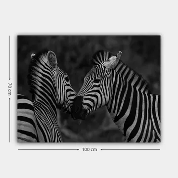Canvastavla 70x100 cm - Två zebror som står nära varandra och visar sin samhörighet - Svart / Vitt - Inredning - Tavlor & posters - Canvastavla