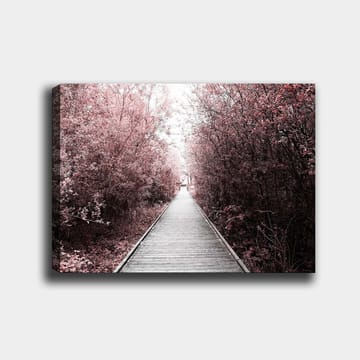 Canvastavla 70x100 cm - Väg som leder genom en skog av rosa träd - Rosa / Grå - Inredning - Tavlor & posters - Canvastavla