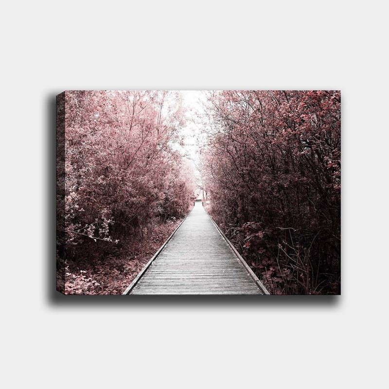 Canvastavla 70x100 cm - Väg som leder genom en skog av rosa träd, Rosa / Grå