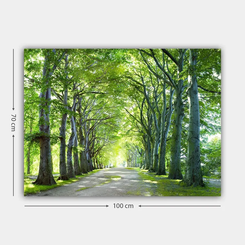 Canvastavla 70x100 cm - Vacker allé av träd som skapar en lugn och inbjudande väg - Grön / Ljusgrön / Brun - Inredning - Tavlor & posters - Canvastavla